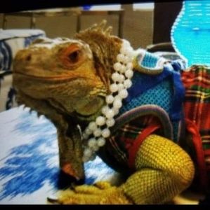 Meet your Posher, Mary